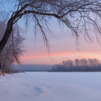 Февральское утро :: Алексей Михмель