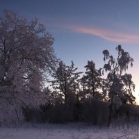 Вечерние краски зимы :: Галина Ильясова