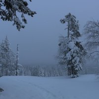 Зима на склонах Пухатунтури :: Ольга 