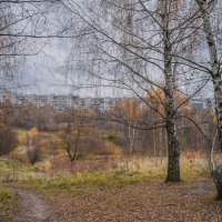 Московская осень... :: Владимир Жданов