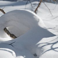 НУ ТЫ КРЕНДЕЛЬ :: Юрий Вовк