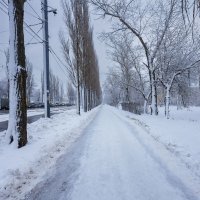 Зимняя улица в городе :: Александр Синдерёв