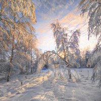 На опушке :: Александр Ковальчук