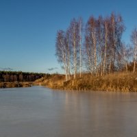 Вот такая зима в Подмосковье 2025  7 :: Андрей Дворников