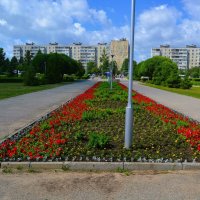 Чебоксары. Клумба Детского медицинского центра. :: Пётр Чернега