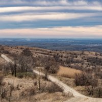 Загородная прогулка :: Игорь Сикорский