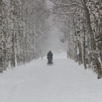 в любую погоду :: Владимир иванов