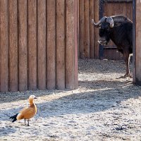 заходи ежели что :: Олег Лукьянов