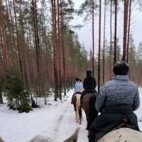 Прогулка по зимнему лесу. :: Ольга 