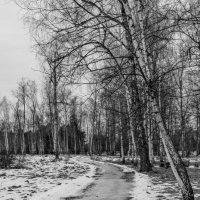 Такая зима, такая фотография, Ч/Б :: Георгий А