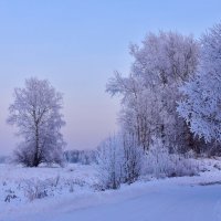 На закате дня :: Владимир Звягин