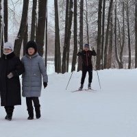 В зимнем парке... :: Мария Васильева