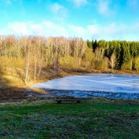 Природная аномалия (в середине января+5°, нет снега). :: Милешкин Владимир Алексеевич 