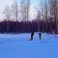 Январь...Двое на лыжне! :: Владимир 