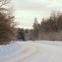 По дороге на лыжную базу :: Андрей Заломленков