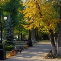 Струковкий сад :: Александр Тарноградский