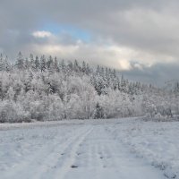 Дорогой зимнею. :: Маргарита ( Марта ) Дрожжина