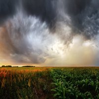 Прикатился :: Сергей Домбровский