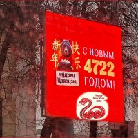 С Новым 4722 годом! :: Татьяна Машошина