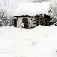 В забытьи . :: Мила Бовкун