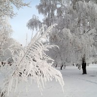 На пороге февраля... :: Андрей Заломленков