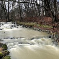 Осень на реке стихи... :: "The Natural World" Александер