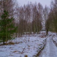 Зимняя дорожка :: Сергей Цветков