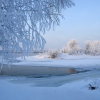 У мороза свои краски :: Владимир Звягин