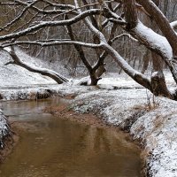 Городской парк в феврале. :: Милешкин Владимир Алексеевич 