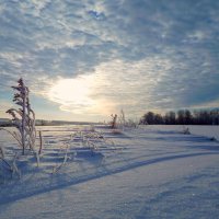 Закат в зимнем поле :: Сергей Швечков