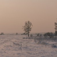 Зимний вечер в пейзаже. :: Вадим Басов