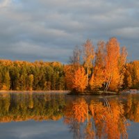 Утреннее....... :: Юрий Цыплятников