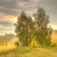 Вышло солнце из-за тучи :: Юрий Спасенников