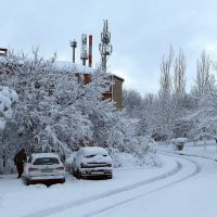 Сегодня утром в Аксае снег :: Татьяна Смоляниченко