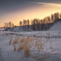 "Зимний вечер с прошлогодними травами"© :: Владимир Макаров