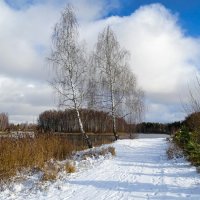 Две берёзки - подружки стоят у озера. :: Милешкин Владимир Алексеевич 