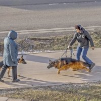 Разрешите с вами познакомиться? :: Валерий Иванович