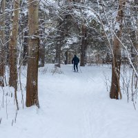 Лыжная прогулка :: Александр Синдерёв