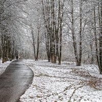 Февраль :: Владимир Езеров 