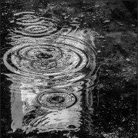 Лужа... :: Наталья Rosenwasser