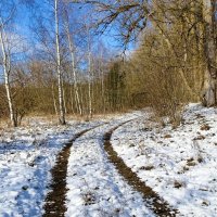 На берегу Днепра (репортаж из поездок по области). :: Милешкин Владимир Алексеевич 