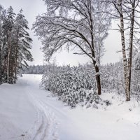 Февраль :: Валерий Иванович