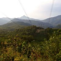 *** :: Андрей Л. В.