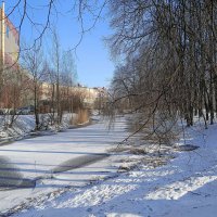 Февральские зарисовки... :: Мария Васильева