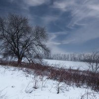 зимние зарисовки ... :: Сергей Литвинов