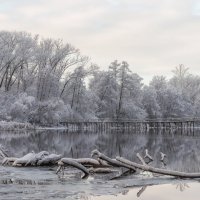 Снежное утро :: Александр ...