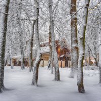 Кафе в сквере :: Татьяна *