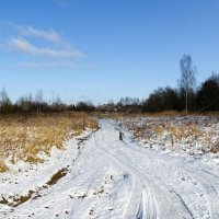 Просёлочная дорога (репортаж из поездок по области). :: Милешкин Владимир Алексеевич 