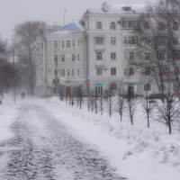 Ветренный февраль. :: Виктор Иванович Чернюк