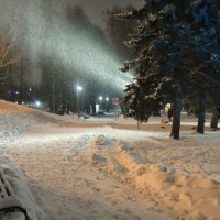 ***снежно*** :: Olga Oskolkova